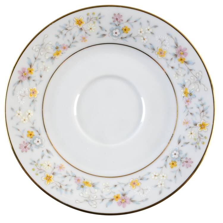 Delevan Saucer