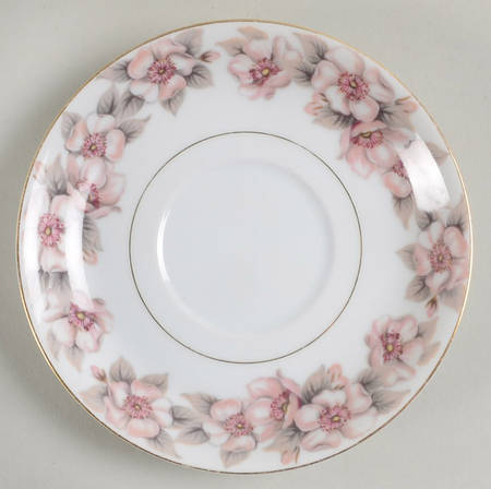 Elsinore Saucer