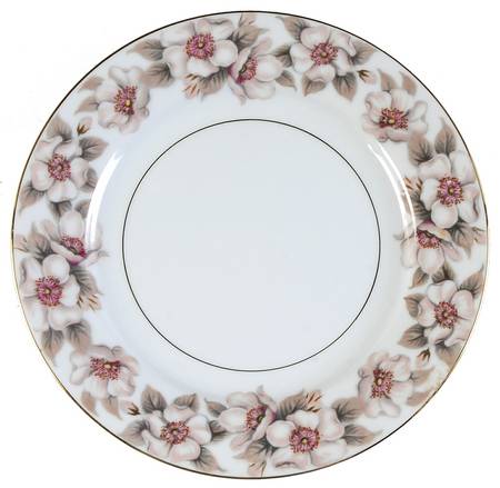 Elsinore Salad Plate by Noritake