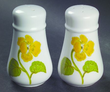 Flower Time Salt & Pepper Set