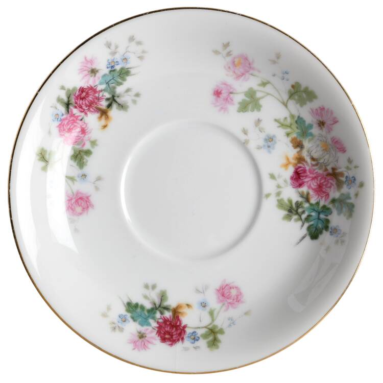 Gardena Saucer