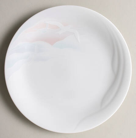 High Fliers Salad Plate
