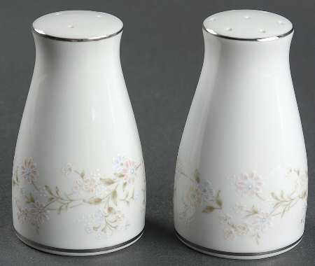 Holbrook (Platinum) Salt & Pepper Set