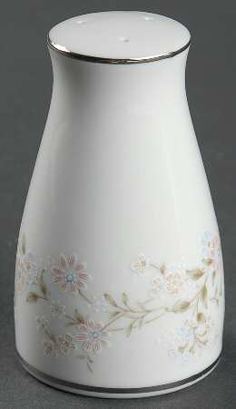 Holbrook (Platinum) Salt Shaker