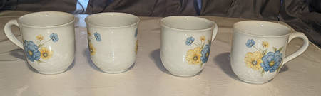 Junenight Flat Cup