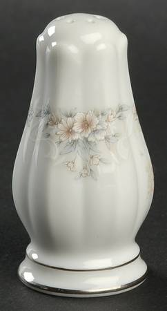 Kirkland Salt Shaker