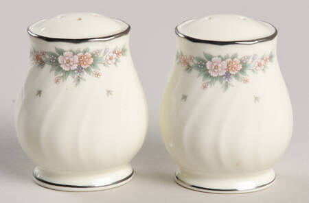 Knottinghill Salt & Pepper Set by Noritake