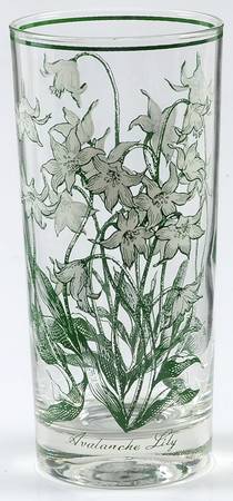 Mountain Flowers Green 14 Oz Glassware Tumbler