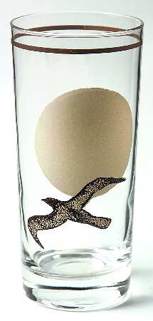 Moon Flight 16 Oz Glassware Tumbler