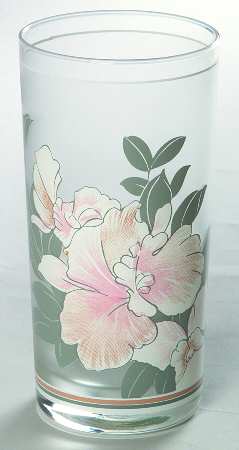 Morning Melody 12 Oz Glassware Tumbler