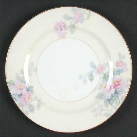 N143 Bread & Butter Plate