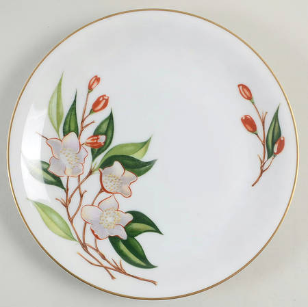 N144 Salad Plate