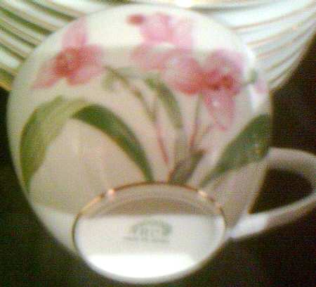 N157 Flat Cup