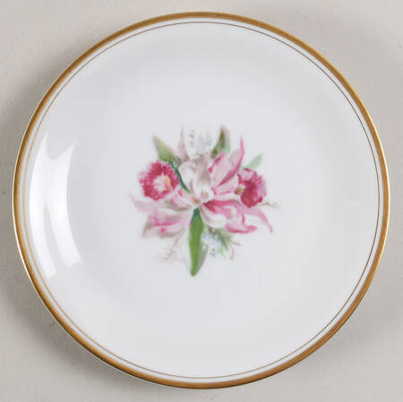N19 Bread & Butter Plate