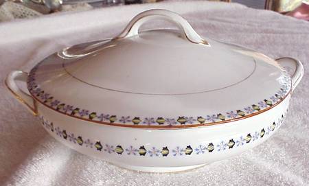 N199 Round Covered Vegetable