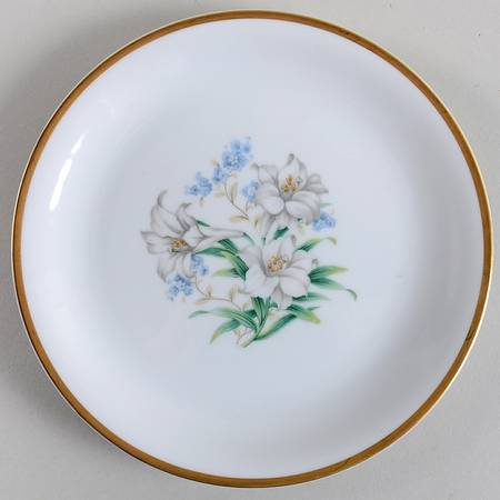 N237 Salad Plate