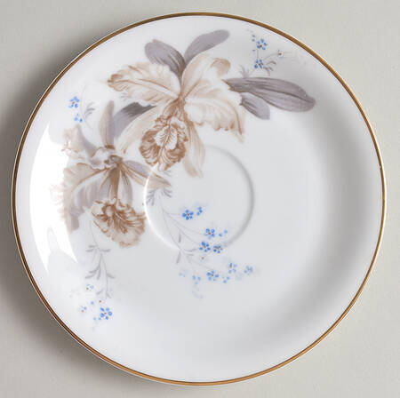 N354 Saucer
