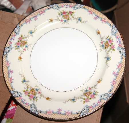 N370 Dinner Plate