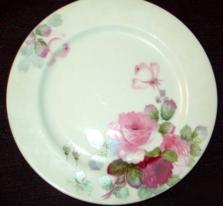 N490 Dinner Plate