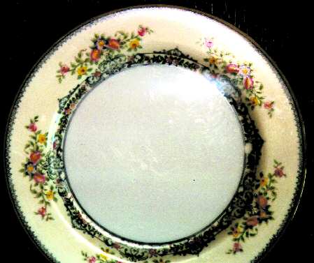 N513 Dinner Plate