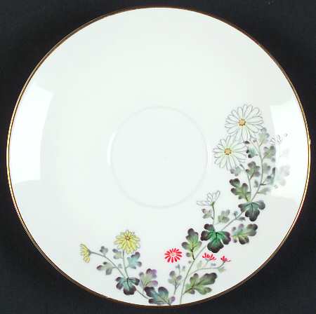 N53 Saucer