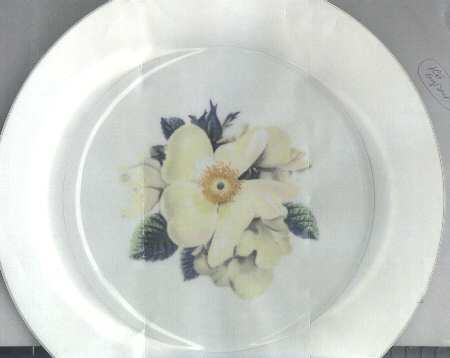 N586 Dinner Plate