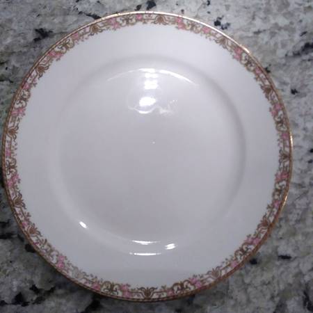 N694 Dinner Plate