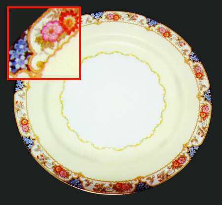 N813 Dinner Plate