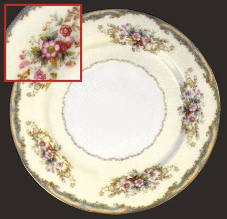 N864 Dinner Plate
