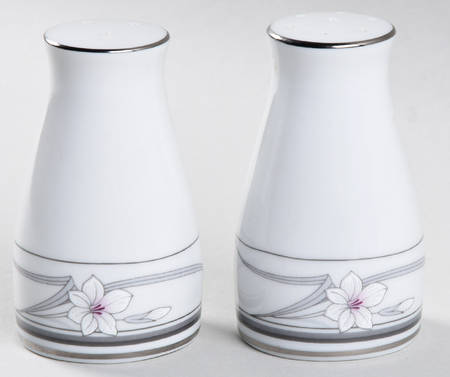 New Destiny Salt & Pepper Set