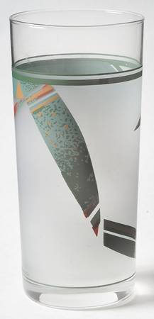 New West 14 Oz Glassware Tumbler