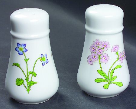Petals Plus Salt & Pepper Set