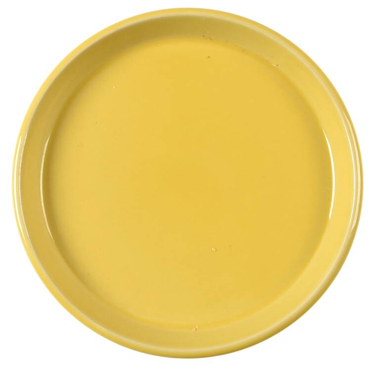 Radiant Bread & Butter Plate