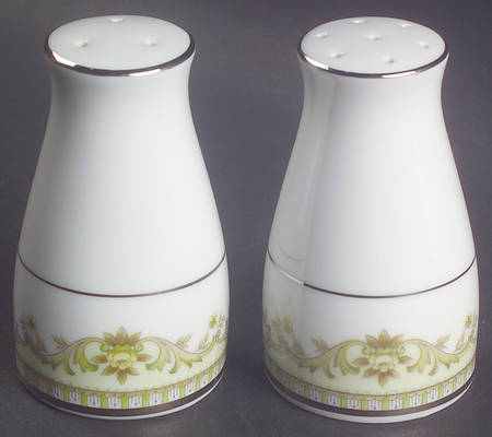 Raleigh Salt & Pepper Set