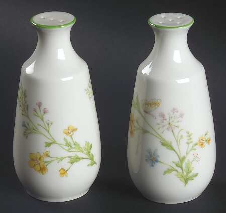 Reverie (Green Trim) Salt & Pepper Set by Noritake