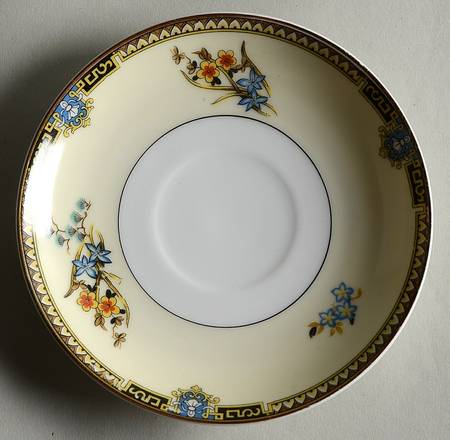 Sheila Saucer