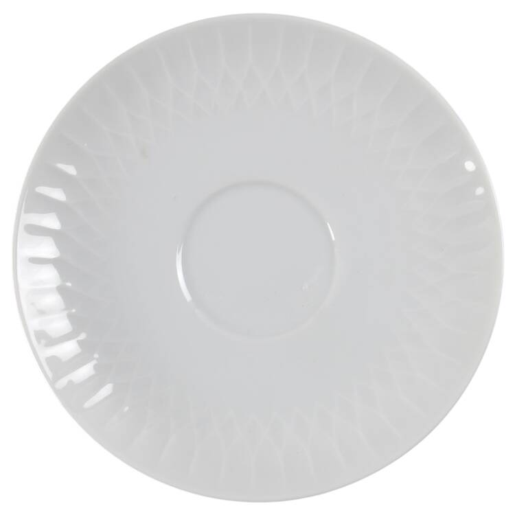 Snowden Saucer