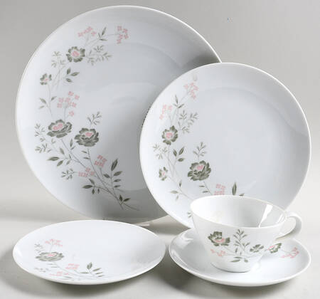 Springdale 5 Piece Place Setting