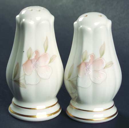 Spring Venture Salt & Pepper Set