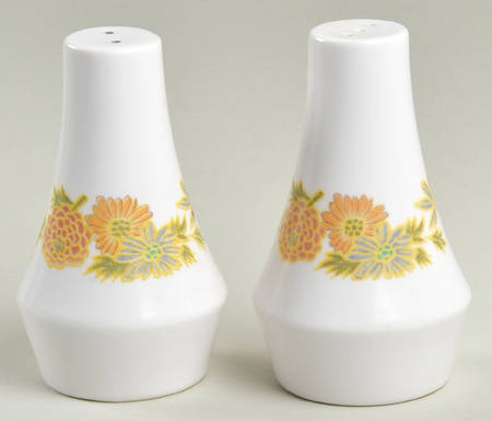 Sunny Side Salt & Pepper Set by Noritake