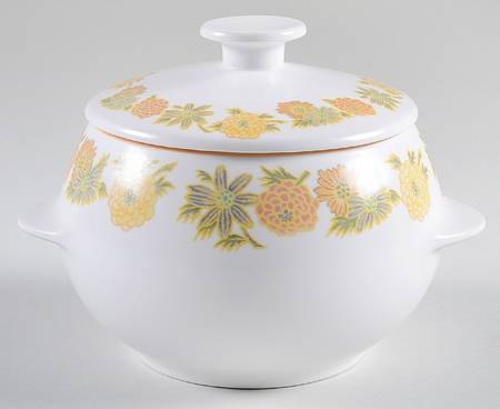 Sunny Side Fondue Pot & Lid by Noritake