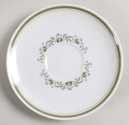 Tampa Saucer
