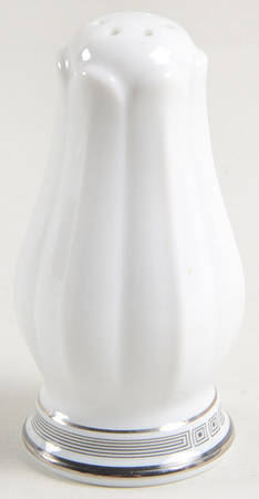 Van Orsdale Salt Shaker