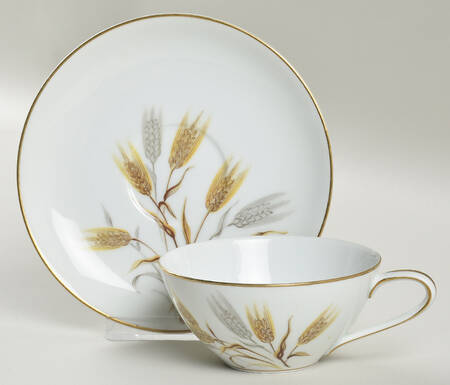 Wheaton Flat Cup & Saucer Set by Noritake