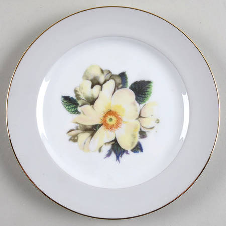 Whiterose Salad Plate