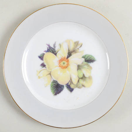 Whiterose Bread & Butter Plate