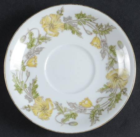 Wilshire Saucer