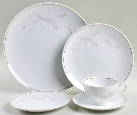 Windrift 5 Piece Place Setting