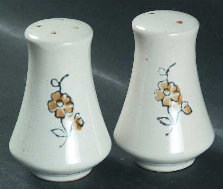 Winterrose Salt & Pepper Set