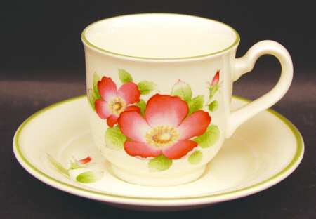 Wild Rose Footed Cup & Saucer Set